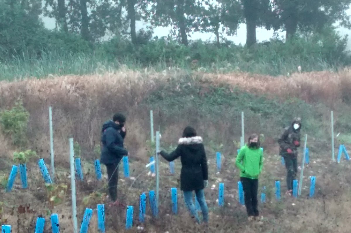 El Alumnado Del Curso En Vitivinicultura Instala El Sistema De